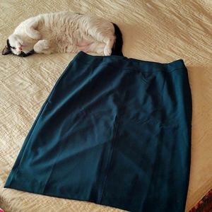 Skirt Chadwicks 18T lined pencil skirt with back slit. Never worn